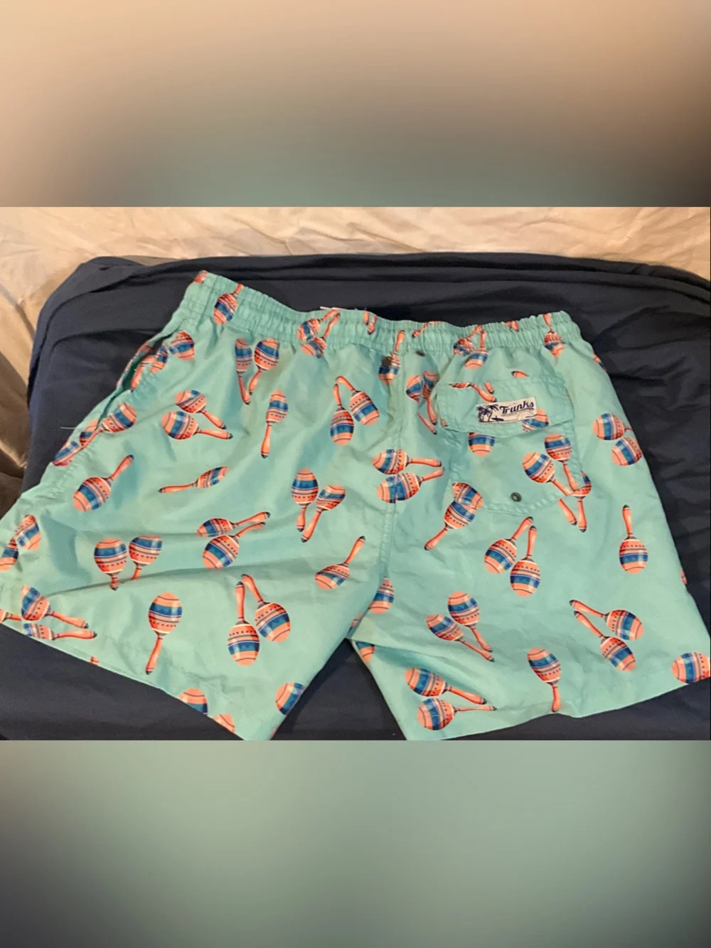 Men's Teal Maraca Print Swim Trunks